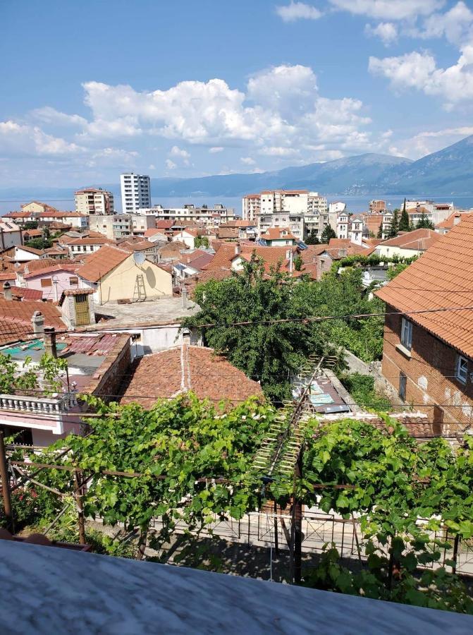 Lake Ohrid Guesthouse "Villa Valentina" 波格拉德茨 外观 照片