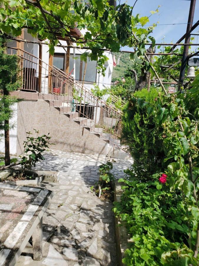 Lake Ohrid Guesthouse "Villa Valentina" 波格拉德茨 外观 照片