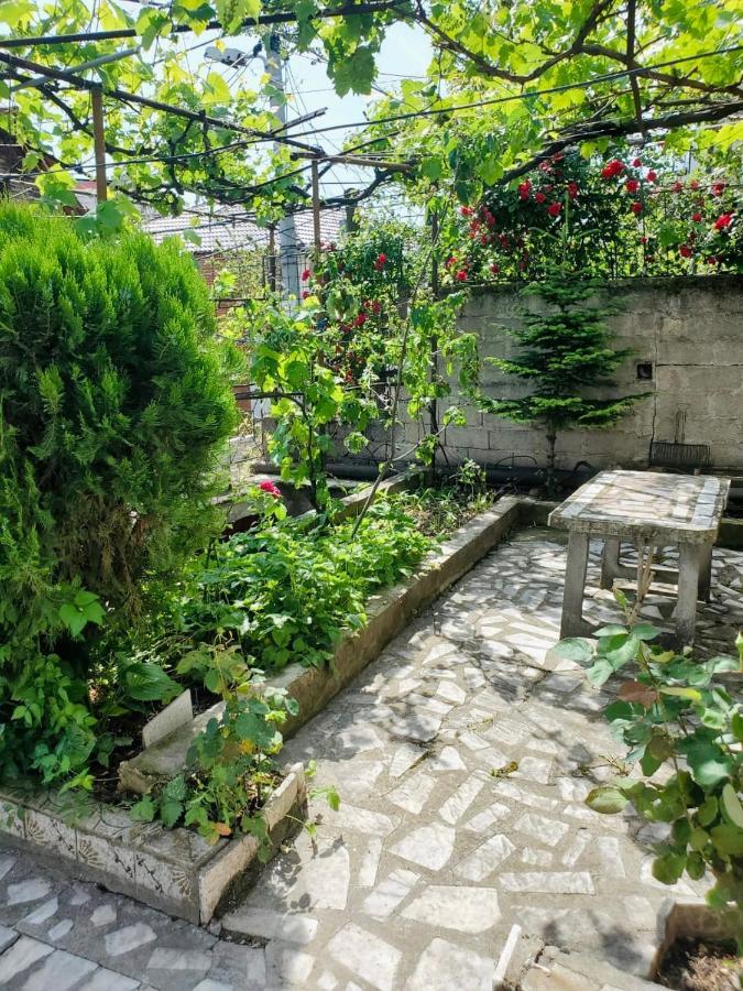 Lake Ohrid Guesthouse "Villa Valentina" 波格拉德茨 外观 照片